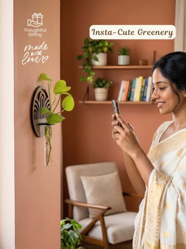 Image of Bombay Greens Wall Hanging Planter with Wooden Holder & Rope | Test Tube Hanging Planter | Wooden Stand for Home Decor, Living Room, Balcony & Office Decoration