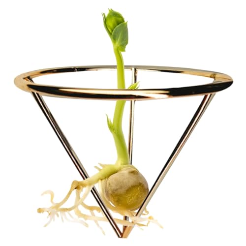 Vaso di del seme di avocado - Forzante per semi di avocado Supporto | Gaman per la coltivazione di avocado | Supporto per semi di avocado | Ripiano di avviamento per semi di avocado |