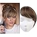 SARLA Clip in Hair Bangs Fringe Hair Extensions Swept Full Sweeping Side Synthetic Hairpiece Hair Piece For Women Japan High Temperature Fiber(B2# 10H24B) …