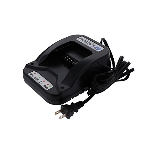 Briggs & Stratton 593561 Battery Charger