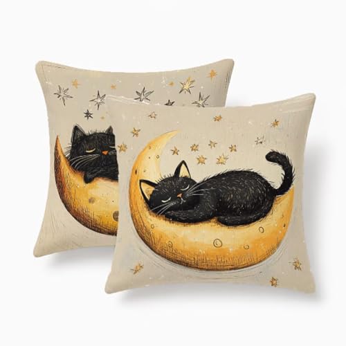 Housses de coussin extérieur 60x60cm pour canapé de jardin et salon