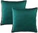 ZPXTI 50x50 Housses de Coussin Velours Housses Coussin Velours Lot de 2 Housse de Coussin décoratif en Velours Coussin Vert foncé pour canapé et lit, Canapé Home Decor Taie d'oreiller(20inch x 20inch)