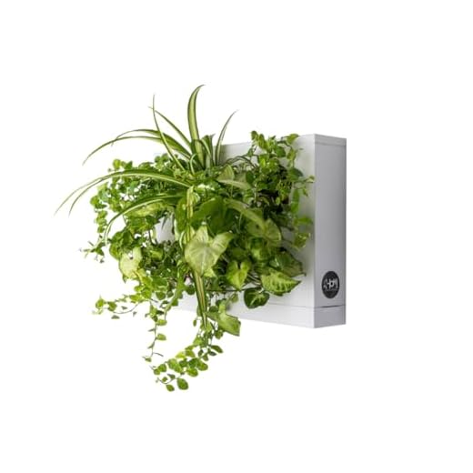 Ortisgreen HOH! Quadro Vegetale Fai da Te in Plastica ABS per 6 Piante di Colore Bianco, Include Il Substrato Naturale (Sfagno) e Le Istruzioni.