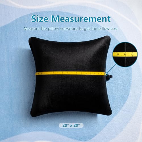 Image of AM AEROMAX 20 x20 Pillow Insert (Pack of 2) Memory Foam Throw Pillow Insert Sham Square for Decorative Cushion Bed Couch Sofa Without Deform After Longtime Use(Black)