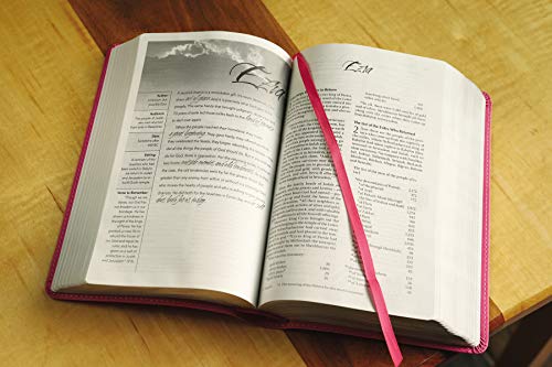 Niv, Women's Devotional Bible, Leathersoft, Pink #TOP3
