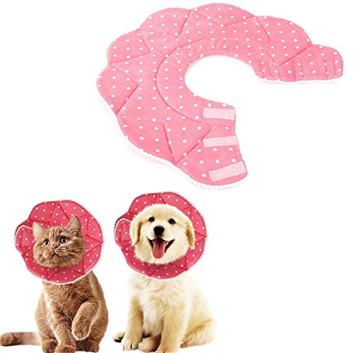 Collerette Protection Chat