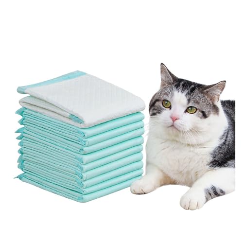 Couches for chats et chatons pour protéger la maison et faciliter les voyages - 2