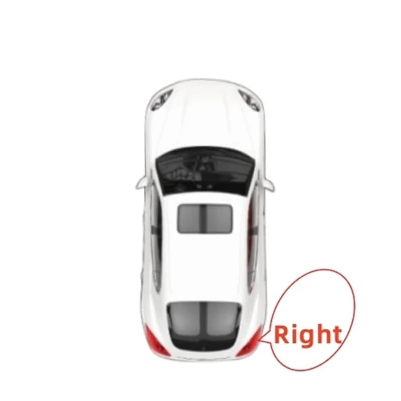 Feu arrière voiture Range Rover Executive coque de phare étanche - 2
