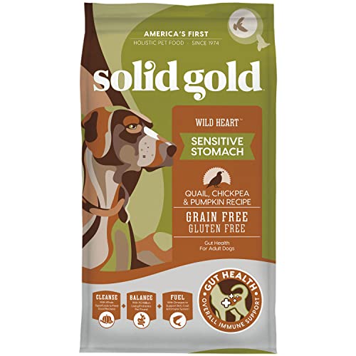 Top 10 Dog Foods for Sensitive Stomachs That Promote Digestive Health ...