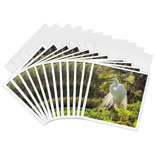 Cartes de vœux grande Aigrette 3drose pour raconter vos plus belles histoires