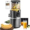 Anybear Cold Press Juicer with 4.9" Large Feed Chute, 350W Masticating Juicer Machines with Dual Slow-Squeezing Technology for Whole Fruits & Veggies with High Yield | BPA-Free Tritan (Gray)