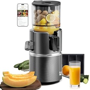 Anybear Cold Press Juicer with 4.9″ Large Feed Chute, 350W Masticating Juicer Machines with Dual Slow-Squeezing Technology for Whole Fruits & Veggies with High Yield | BPA-Free Tritan (Gray)