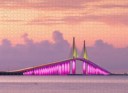 Jigsaw Puzzles for Adults Hard Challenging Difficult Family Cool Large Florida State Tampa St Petersburg Florida Bridge Built Structure Toys for Chilren Teenagers 1000 Pieces