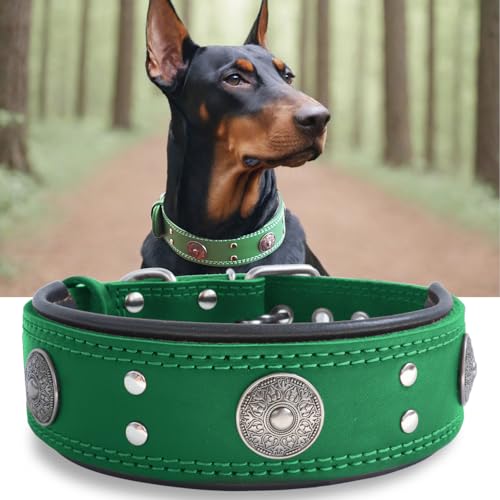 Image of Genuine Leather Dog Collar for Large Dogs,2 in Wide Heavy Duty,GN-L | Handmade,Stainless Steel Pin Buckle,Soft Padded,Alloy Studded,Luxury Eye-catching Design,Medium Large Giant Breeds,21-25 in