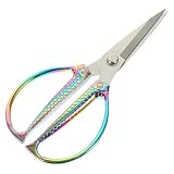 HYTROVE Geflügelknochenschere aus 30cr13 Edelstahl mit Dekorativem Fischmuster und Zinklegierung Griff Ergonomisch gegen Handgelenkschmerzen für Küchenutensilien