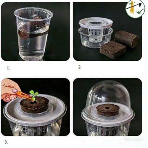Recipientes de cultivo transparentes con drenaje para raíz 5