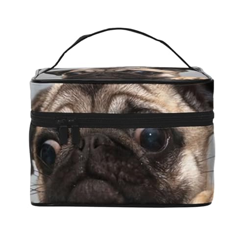 킢 pO  σ|[` e RX|[` ^ @\I e h  y o s |[` fB[X [|[` ϕi[