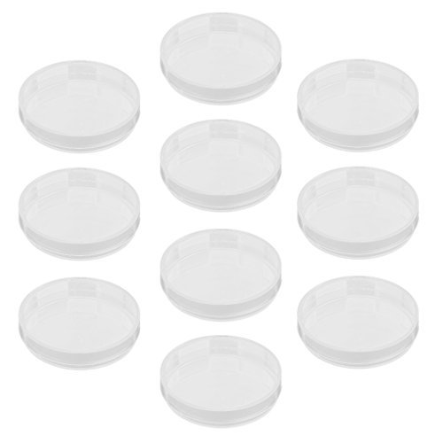 Kingstons laboratorio Plant Cell Tissue culture