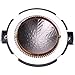 AFOULYKL Audio Replacement Horn Diaphragm for JBL/Selenium RPDD202Ti D220Ti and D2500Ti Horn Speaker Driver 8 Ohm