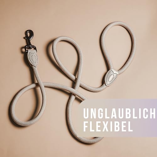 ne&no Tauleine 1.7m (leicht dehnbar) für mittelgroße bis ganz große Hunde I Trainingsleine I Hundeleine robust I Führleine rund, geflochten I Seil Leine Hund I Cityleine I Dog Leash Taupe, 170 cm