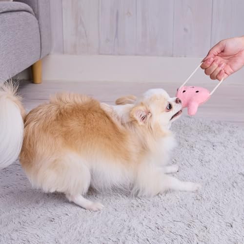 AhCg (ADD. MATE) p ӂӂps[gC [vI݂͂ʂ 