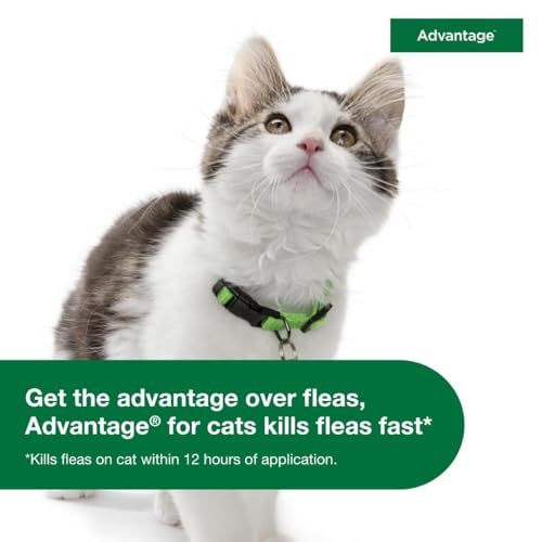 Advantage CA751228AAM Topical Cat Flea Treatment And Prevention thumb #8