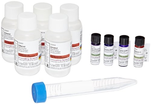 Innovating Science Paper Chromatography Kit to Separate Chemical Substances