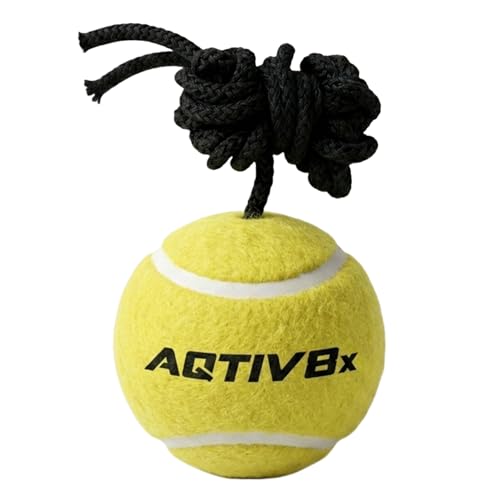 Image of PVC Hanging Cricket Ball for Practice /Training for Men, Women, Boys, Girls & Kids Home Practice Balls Ideal for Indoor & Outdoor Batting, Heavy Training