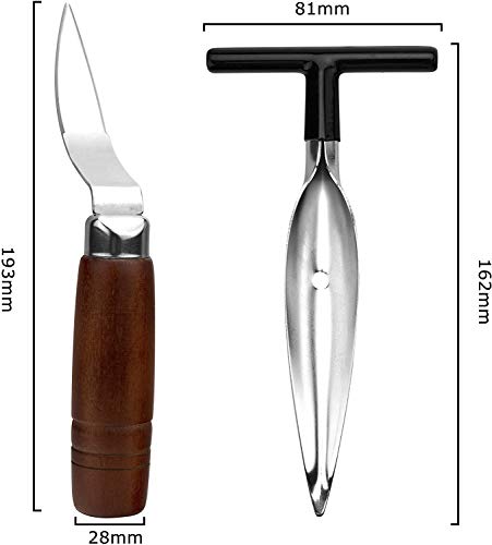 Conjunto de ferramentas de abridor de coco, 2 peças, removedor de carne de coco de aço inoxidável, f