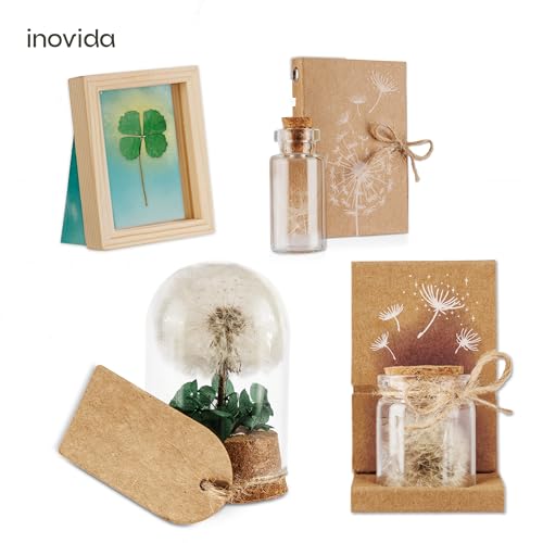 Inovida Inovida Kleine Glücksbringer: Echtes vierblättriges Kleeblatt zum Verschenken im Holzrahmen – Kleines Geschenk für Glück – Aufmunterung Geschenke – Dankeschön Geschenke Klein – Glücksbringer Prüfung - Designansicht 6 | TV | Video | Foto