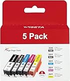 Wiseta PGI-220 CLI-221 Compatible Ink Cartridge Replacement for Canon 221 220 Ink Cartridges PGI220 CLI221 to use with MP560 MP620 MP640 MX860 MX870 MP980 MP990 iP3600 iP4600 iP4700 (2B1C1M1Y, 5 Pack)