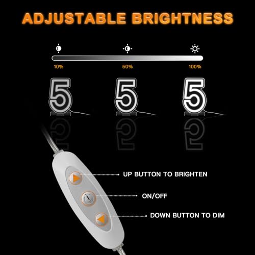 Image of YALLOVE Neon Sign Number 5, 9.8 inches Height USB Powered Night Light-up Numbers for Birthdays Decor, Party Anniversary, Cafe Bar Decor (Small)