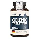 Gelenktabletten Hund, Apotheker Rezeptur, 90 Stück reicht bis zu 6 Monate, von Apothekern entwickelt & Tierärzten geprüft, mit Grünlippmuschel hochdosiert, Glucosamin, MSM, Chondroitin, Teufelskralle
