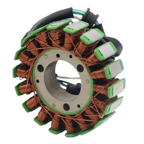 Stator de moto pour Yamaha YS250 YBR250 2007-2011 alternateur 5D1-H1410-00