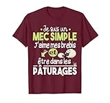 cadeau brebis, brebis, brebis, ferme, laine, mouton, agneau, troupeau, chèvre, bonne humeur, bélier, animal, campagne, mouton noir, agricole, fermier, fermière, paysan, agriculteur, agriculture, idée cadeau, prairie, fête des pères, humour, pâturage