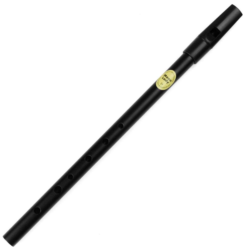 D-Schlüssel 6-Loch-Metallflöte Irish Tin Whistle Flute Irish Woodwind Mini Pocket Bamboo Whistle (Color : D Key Grey)