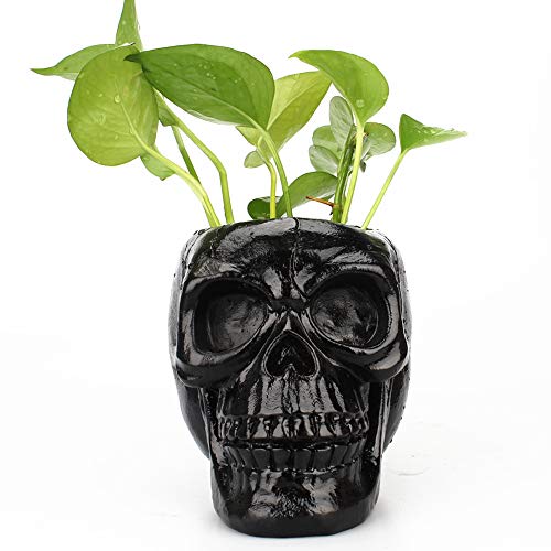 Arola Black Skull Pen & Pencil Holder Skeleton Key Holder Makeup Brush Holder flower pot Home Office Desk Supplies Organizer Accessory