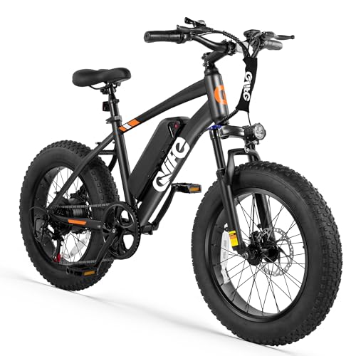 Qlife Racer Fat Tire Series Electric Bike for Adults, 28MPH,