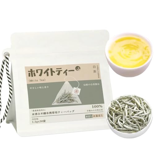 zCgeB[ij eB[obO 2025NtE |j ̔ 30i45gjb͂ȍR_LxɊܗL