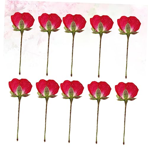 VILLCASE 12 Pçs Flores Secas Prensadas Materiais De Scrapbook Materiais Para Uñas Preservando Flores