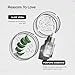 Bella Vita Luxury CEO MAN Body Wash Refreshing Shower Gel for Deep Cleansing, Hydrating & Moisturising Skin with Aloe Vera & Charcoal Powder 500 Ml