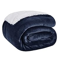 Algopix Similar Product 1 - Bedsure GentleSoft Sherpa Fleece Throw