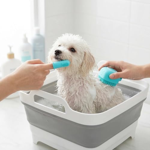 9L Small Puppy Kitten Bath Tub: 12IN Collapsible Tiny Dog Cat Shower Tub