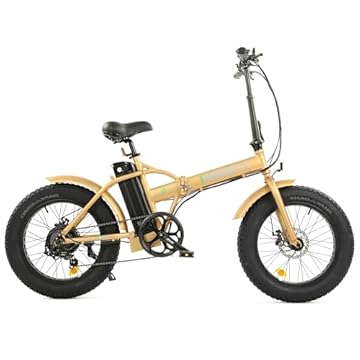 ecotric foldable electric bike