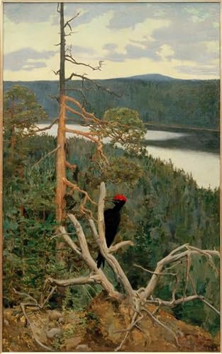Lienzo de El gran carpintero negro de Gallen-Kallela, la solución para paredes vacías
