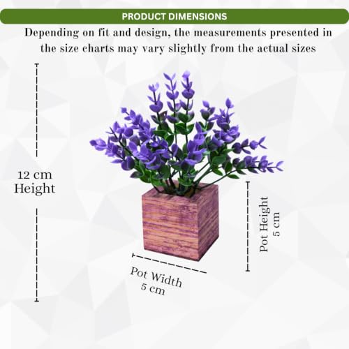 Image of DecoreBugs Artificial Eucalyptus Plant with Plastic Pot (Pack of 2) | 12 cm Height | Mini Potted Plants for Shelf Decor, Home, Office, Living Room, Desk & Table Item Decoration