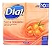 Dial Omega Moisture 10 Glycerin Bars