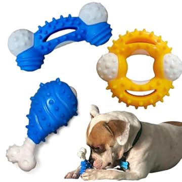 Kit 3 Brinquedo Resistente Osso Nylon Cachorro Cão Pet Forte Grande Pet (Macho)