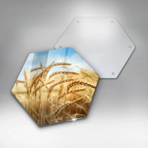 Planche à découper induction pour protéger vos plaques de cuisson