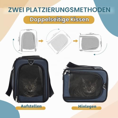 Petsfit Transporttasche Katze & Hundetasche Flugzeug | Flugtasche für Hunde & Transportbox Katze | Flugtaugliche Haustiertasche | Sicherer Transport in Auto, Flugzeug und Bahn, M/Blau